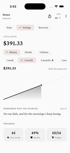 Sober44 — Money saved