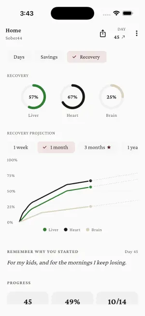 Sober44 — Recovery rings